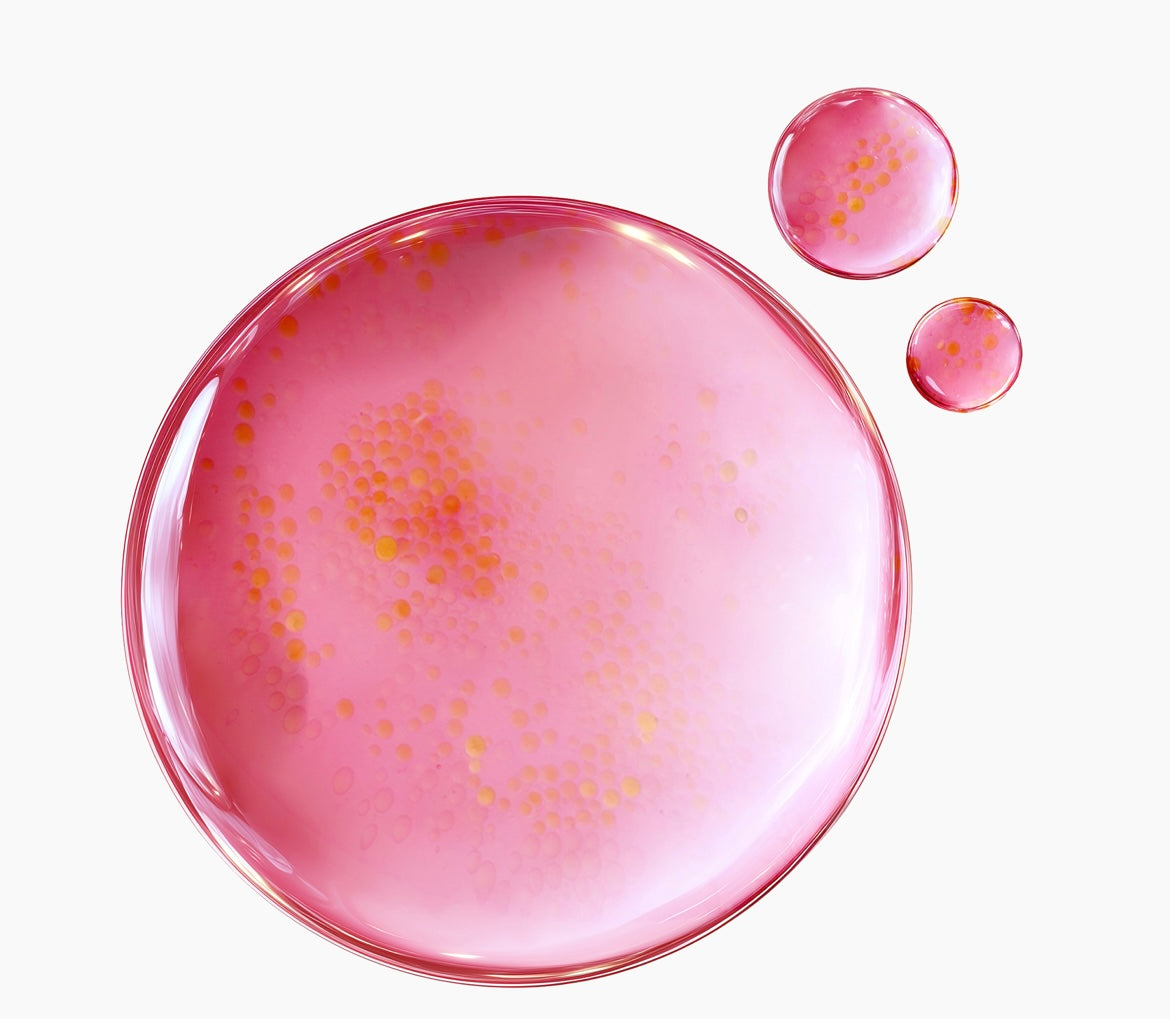 PURITO TXA 6 Niacinamide 10 Retinal Serum - 30ml